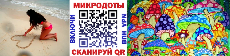цена наркотик  Таштагол  Галлюциногенные грибы Psilocybine cubensis 